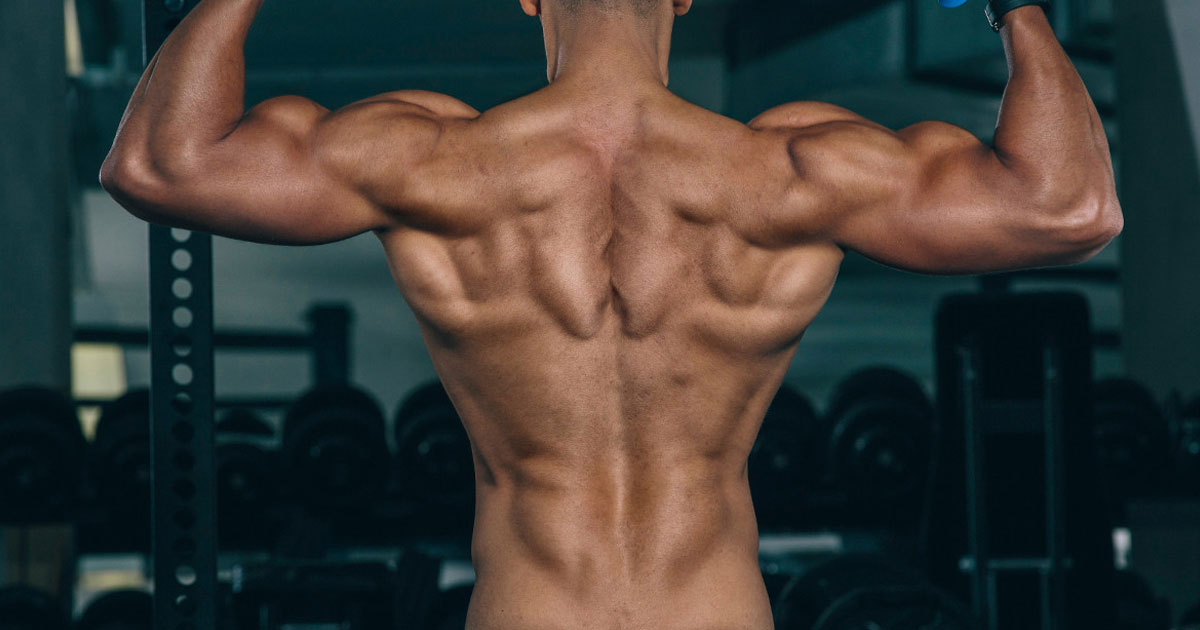 How To Get V Shape Body Without Gym Peacecommission kdsg gov ng